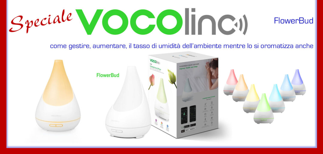 Disabili DOC – “Speciale VOCOlinc” – Immagine di copertina, FlowerBud