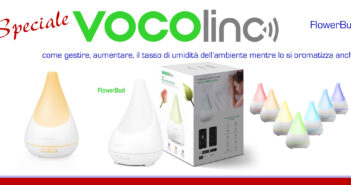 Disabili DOC – “Speciale VOCOlinc” – Immagine di copertina, FlowerBud