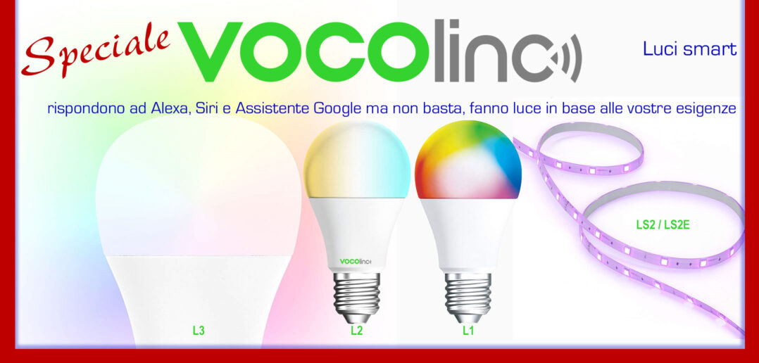 Disabili DOC – “Speciale VOCOlinc” – Immagine di copertina, L1, L2, L3 e LS2/LS2E