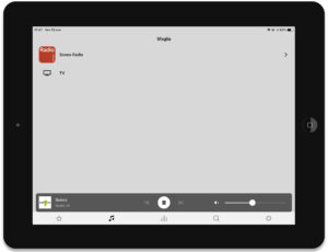 Disabili DOC – “Speciale Sonos Beam” – App Sonos, schermata Musica